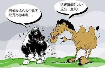 家居行业，经销商的现状与前路