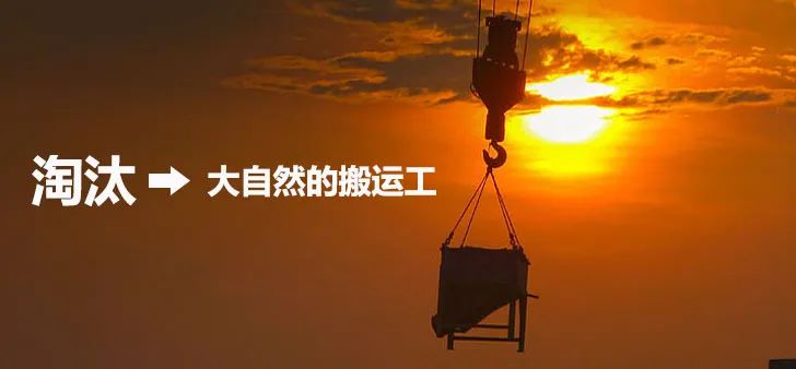 家居行业，经销商的现状与前路